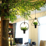 Sca Pendant Light