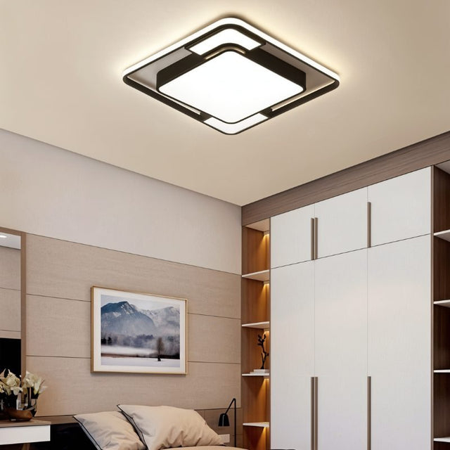 Fluke Ceiling Light