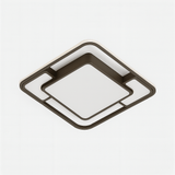 Fluke Ceiling Light
