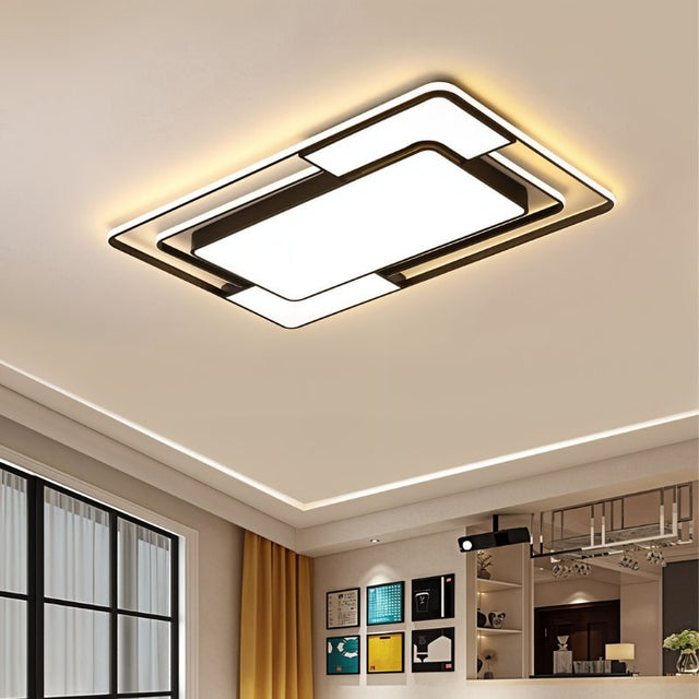 Fluke Ceiling Light