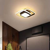 Fluke Ceiling Light