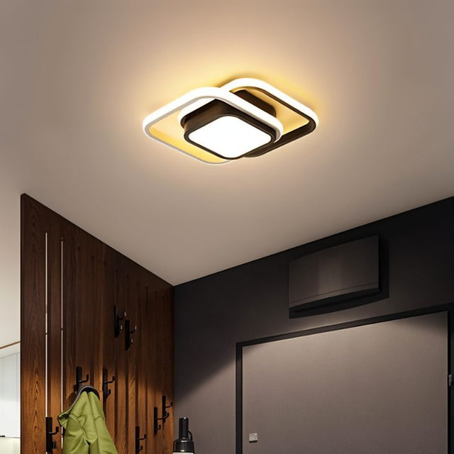 Fluke Ceiling Light