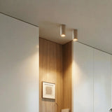 Andratx Downlight