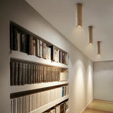 Andratx Downlight