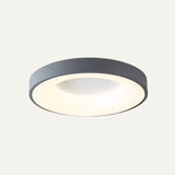 Stay Ceiling Light