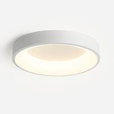 Stay Ceiling Light