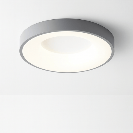 Stay Ceiling Light