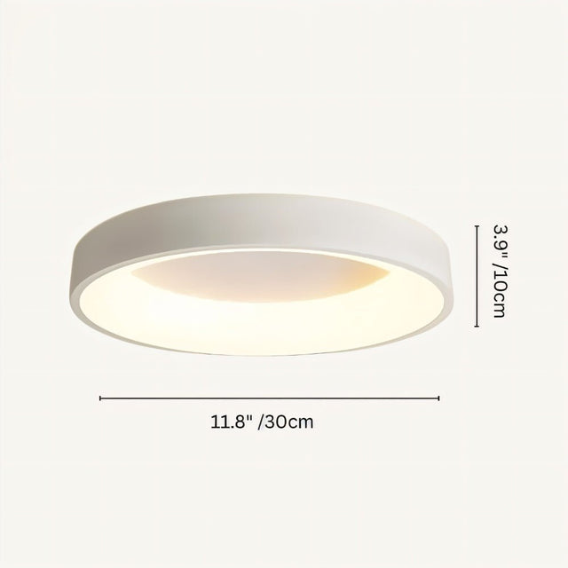 Stay Ceiling Light