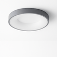 Stay Ceiling Light