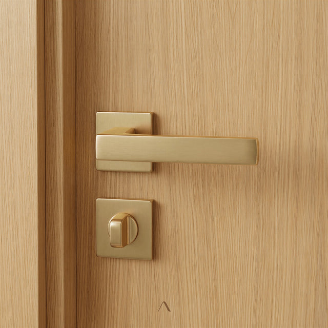 Armilla Door Handle
