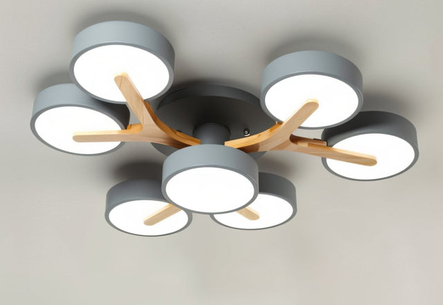 Boom Ceiling Light