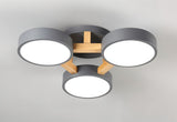 Boom Ceiling Light