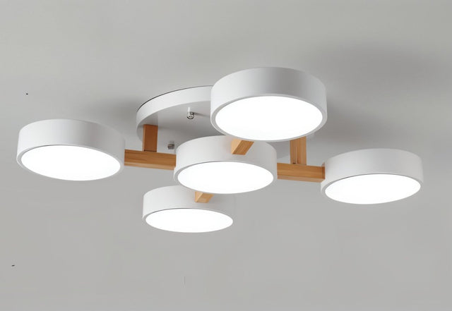 Boom Ceiling Light