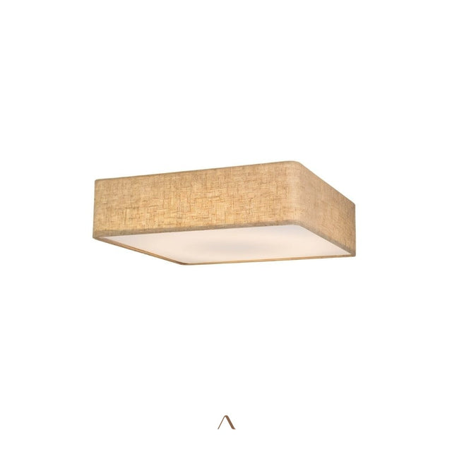 Asnen Ceiling Light