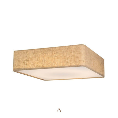 Asnen Ceiling Light