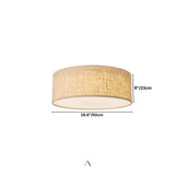 Asnen Ceiling Light