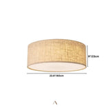 Asnen Ceiling Light