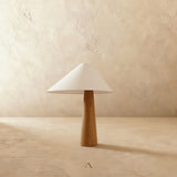 Asperen Table Lamp