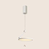 Asperup Pendant Light