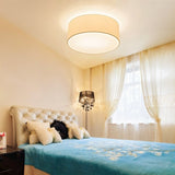 Asnen Ceiling Light