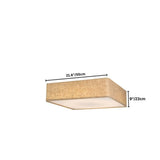 Asnen Ceiling Light
