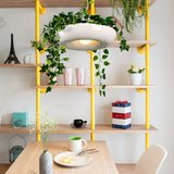 Zell Pendant Light