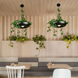 Zell Pendant Light