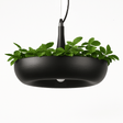 Zell Pendant Light