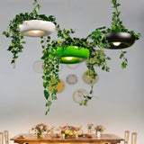 Zell Pendant Light