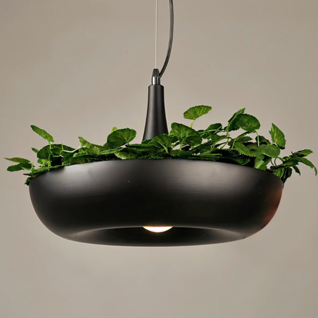 Zell Pendant Light