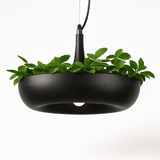 Zell Pendant Light