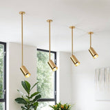 Schist Ceiling Light