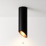Balling Ceiling Light