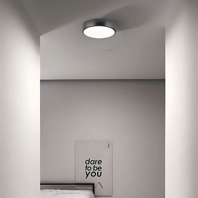 Balzheim Ceiling Light