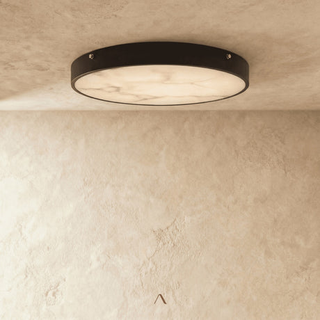 Barbeville Ceiling Light