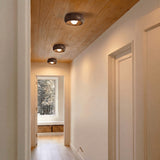 Begur Ceiling Light