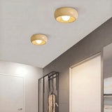 Begur Ceiling Light