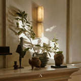 Benahadux Wall Light