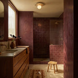 Bernesq Ceiling Light