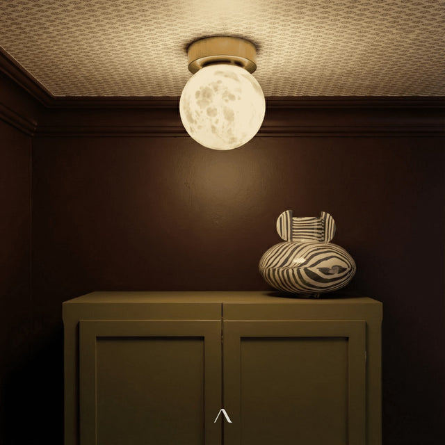 Bieville Ceiling Light