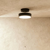 Bismuth Ceiling Light