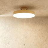 Bismuth Ceiling Light
