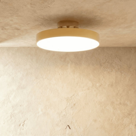 Bismuth Ceiling Light