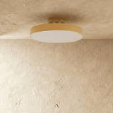 Bismuth Ceiling Light