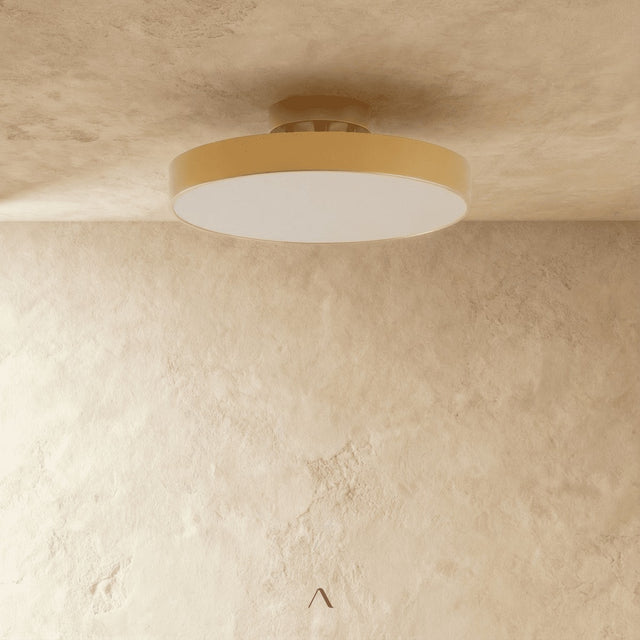 Bismuth Ceiling Light