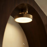 Bismuth Ceiling Light