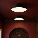 Bismuth Ceiling Light