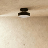 Bismuth Ceiling Light