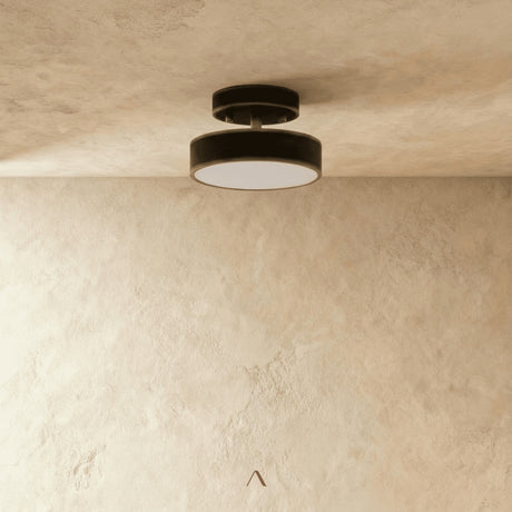 Bismuth Ceiling Light