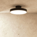 Bismuth Ceiling Light